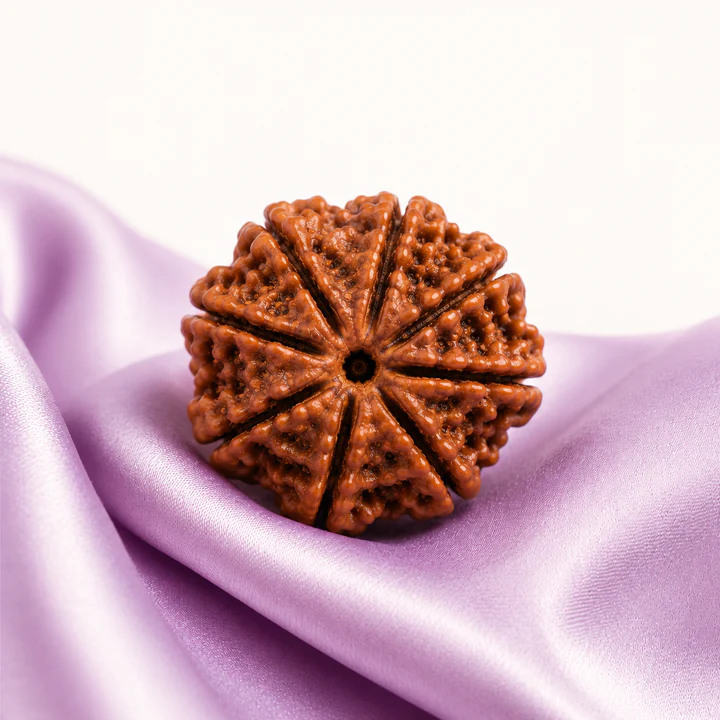 Authentic rudraksha beads